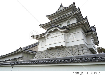関宿城博物館の天守閣【千葉県野田市】 関宿城博物館の天守閣【千葉県野田市】 113819148