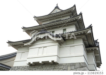 関宿城博物館の天守閣【千葉県野田市】 113819153