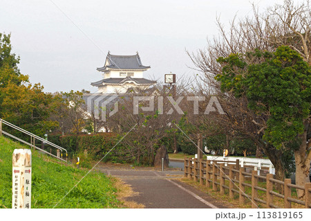関宿城博物館の天守閣【千葉県野田市】 113819165