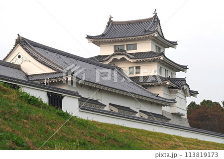 関宿城博物館の天守閣【千葉県野田市】 113819173
