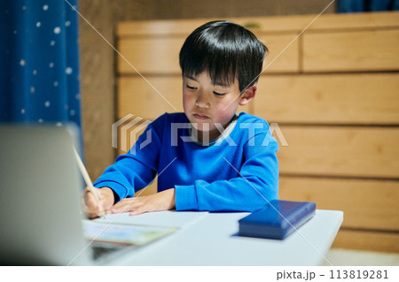 オンライン授業で国語を勉強する小学生の男の子 113819281