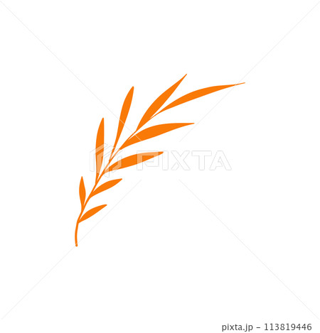 Decor leaves. Colorful plant element, organic garden foliage, botanical beautiful branch isolated on white. Seasonal floral hers with berry for greeting and wedding cards 113819446