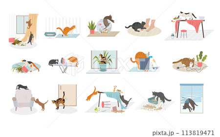 Domestic cats. Pets bad behavior in home interior destroying rooms recent vector cartoon illustrations 113819471