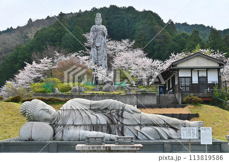 奈良壺阪寺の天竺渡来涅槃石像と大観音石像 113819586
