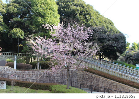 二荒山神社 二荒山神社 113819658