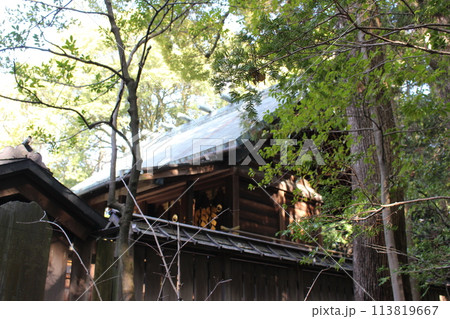 二荒山神社 二荒山神社 113819667