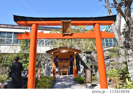 春の晴天の蛇窪神社　東京 113819856