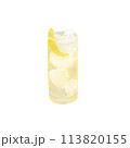 水彩のハイボール 113820155