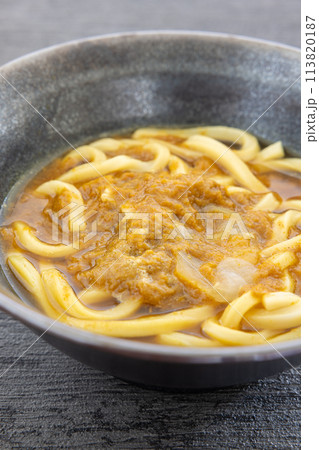 おいしいカレーうどん おいしいカレーうどん 113820187
