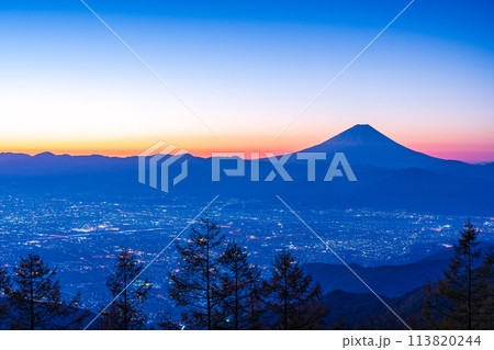 (山梨県)甘利山から望む富士山　日の出 113820244