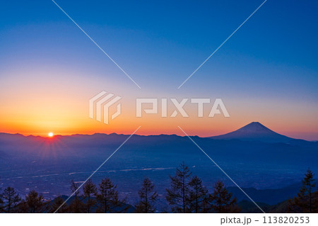 (山梨県)甘利山から望む富士山　日の出 113820253