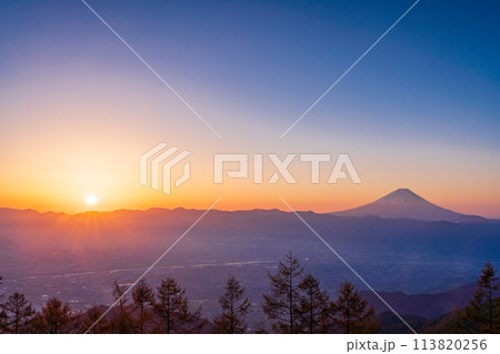 (山梨県)甘利山から望む富士山　日の出 113820256