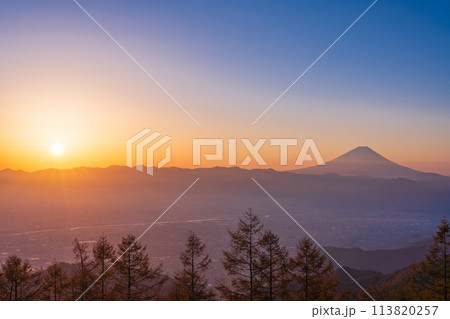 (山梨県)甘利山から望む富士山 日の出 (山梨県)甘利山から望む富士山 日の出 113820257