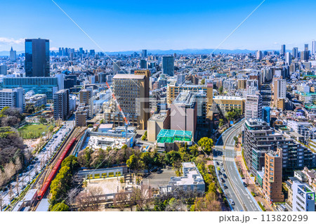 日本の東京都市景観 富士山や丸ノ内線、青空が広がる池袋や新宿。東京都庁や山々なども見える珍景 113820299