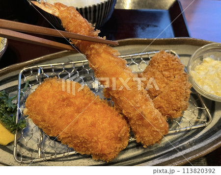エビフライとカニクリームコロッケ エビフライとカニクリームコロッケ 113820392