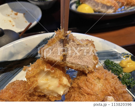 ヒレとんかつ 柔らかいひれかつ定食 ヒレとんかつ 柔らかいひれかつ定食 113820396