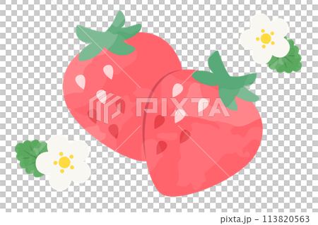 兩個可愛的草莓插畫素材2 兩個可愛的草莓插畫素材2 113820563