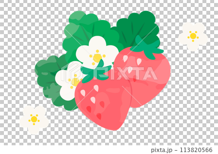 兩個可愛的草莓插畫素材4 113820566