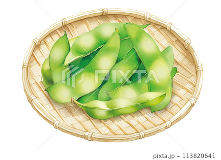 枝豆の水彩画。AI生成画像。夏野菜のイラスト。 113820641