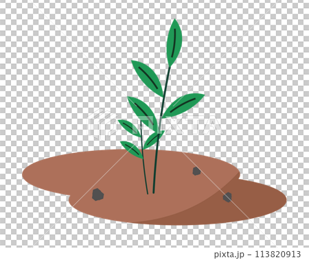 土と葉。植物の成長。ベクターイラスト	 113820913