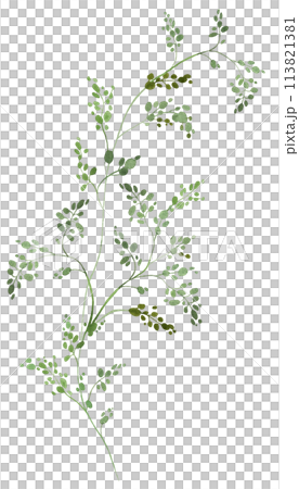 Watercolor tiny twig with green leaves isolated illustration, botanical wedding element Watercolor tiny twig with green leaves isolated illustration, botanical wedding element 113821381