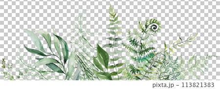Border with Watercolor fern and botanical green leaves isolated illustration, wedding Border with Watercolor fern and botanical green leaves isolated illustration, wedding 113821383