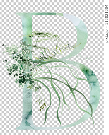 Green letter B with Watercolor whimsical tender leaves isolated illustration, wedding element Green letter B with Watercolor whimsical tender leaves isolated illustration, wedding element 113821384
