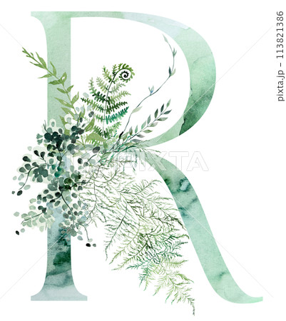 Green letter R with Watercolor whimsical tender leaves isolated illustration, wedding element Green letter R with Watercolor whimsical tender leaves isolated illustration, wedding element 113821386