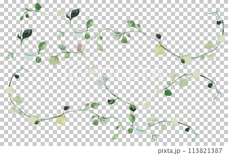 Watercolor tiny twigs with green leaves isolated illustration, botanical wedding element 113821387
