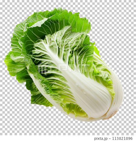 Head of Chinese cabbage on a white background. 113821896