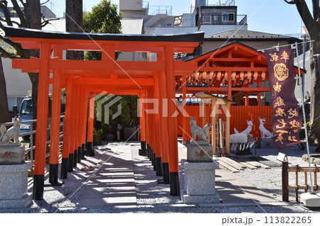 春の晴天の宝密稲荷社　東京 113822265