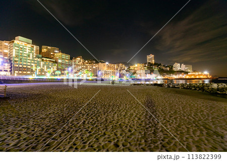 《静岡県》 熱海の街並みと熱海サンビーチの夜景 《静岡県》 熱海の街並みと熱海サンビーチの夜景 113822399