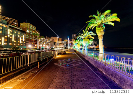 《静岡県》　熱海の街並みと熱海サンビーチの夜景 113822535