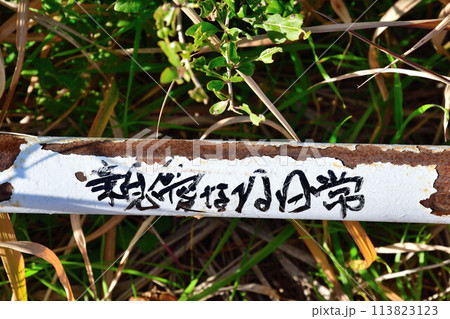 親愛なる日常（宮城県） 113823123