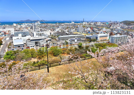 【香川県】春の丸亀城より眺める丸亀市街地と瀬戸内海 113823131