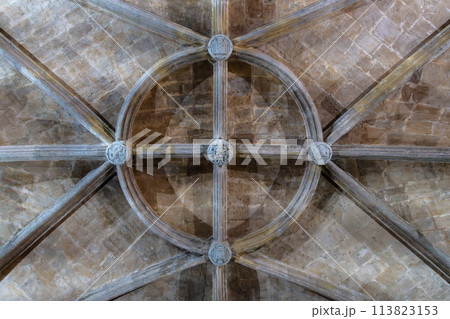Directly below view of stone ribbed vault in Renaissance Style 113823153