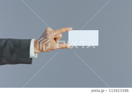 woman employee isolated on grey woman employee isolated on grey 113823386