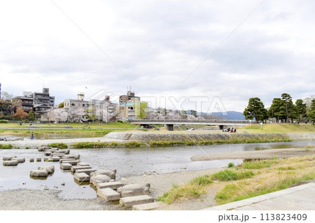 【春の京都観光】鴨川デルタ_観光と日常の風景 113823409