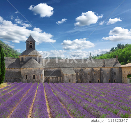 Abbey Senanque and Lavender field, France Abbey Senanque and Lavender field, France 113823847