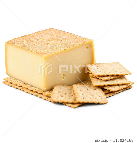 Chabis cheese soft square with white rind served with sliced apples and whole grain crackers 113824169