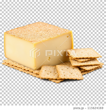 Chabis cheese soft square with white rind served with sliced apples and whole grain crackers 113824169
