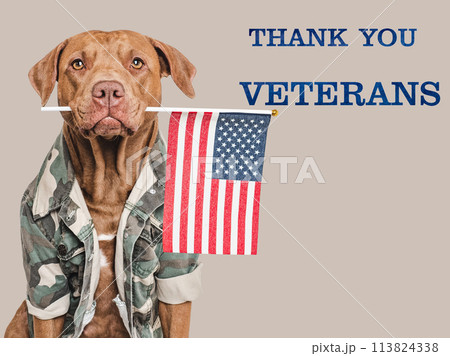 Memorial Day. Adorable dog and congratulatory inscription 113824338