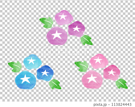 Hand-drawn watercolor morning glory illustration set 113824443
