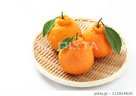 白バックの葉付きのでこぽん 白バックの葉付きのでこぽん 113824620