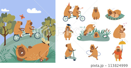 Happy copybars relaxing in nature and riding bicycles or diving in swamp to cool off in hot weather 113824999