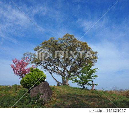 横尾の辻【香川県三豊市詫間町（志々島）】 113825037