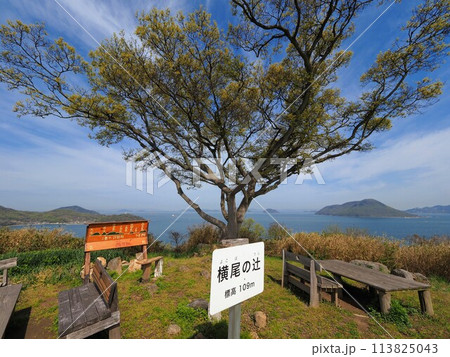 横尾の辻【香川県三豊市詫間町(志々島)】5 横尾の辻【香川県三豊市詫間町(志々島)】5 113825043