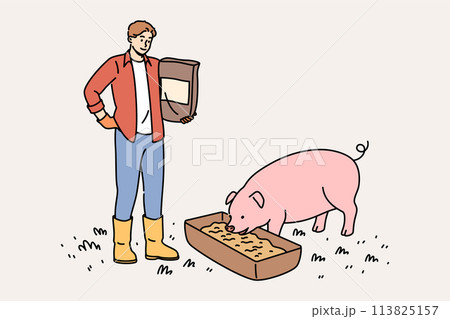 Man farmer engaged in livestock farming and pours feed from grains and cereals for pigs 113825157