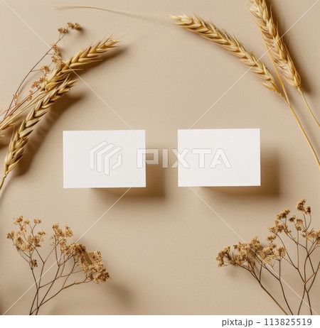 Two Square White Cards on Table Two Square White Cards on Table 113825519