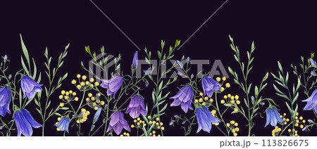 Campanula, wild meadow plants. Blue, yellow flowers. Floral seamless horizontal border. Watercolor ornate isolated on black background. Panoramic illustration with summer herbs for textile, wrapping. Campanula, wild meadow plants. Blue, yellow flowers. Floral seamless horizontal border. Watercolor ornate isolated on black background. Panoramic illustration with summer herbs for textile, wrapping. 113826675
